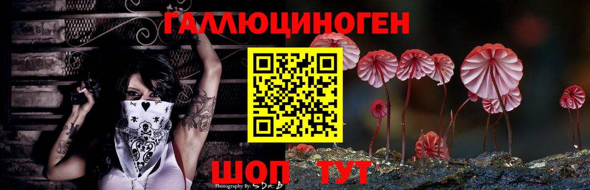 Галлюциногенные грибы GOLDEN TEACHER Жигулёвск