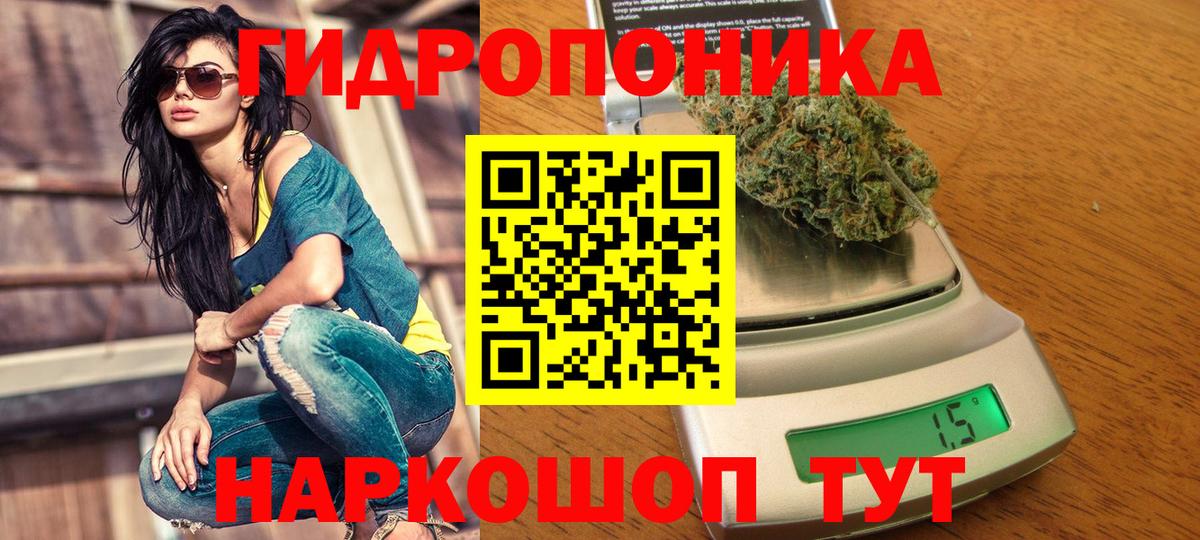 Бошки марихуана конопля  Бошки Шишки White Widow  Жигулёвск  Вход с VPN  Каннабис индика 